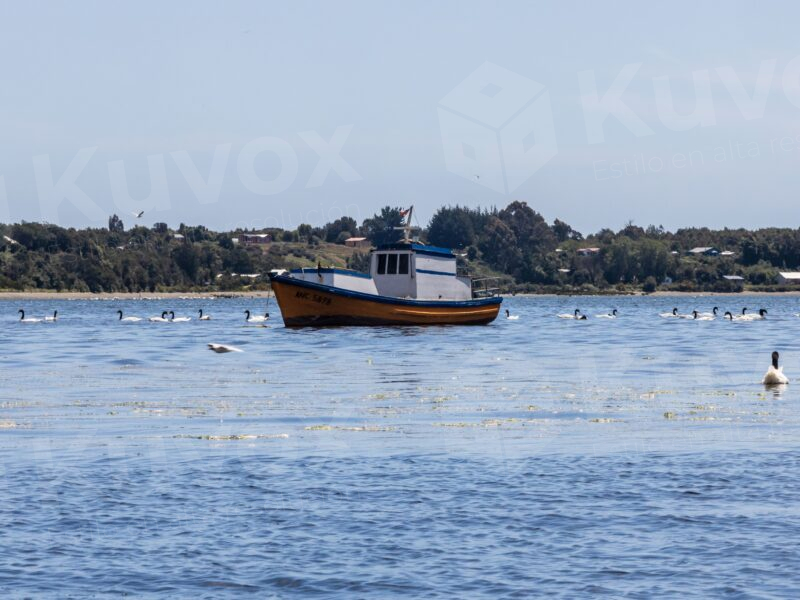 Barco pequeño
