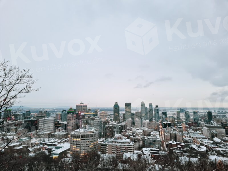 Nieve sobre la ciudad