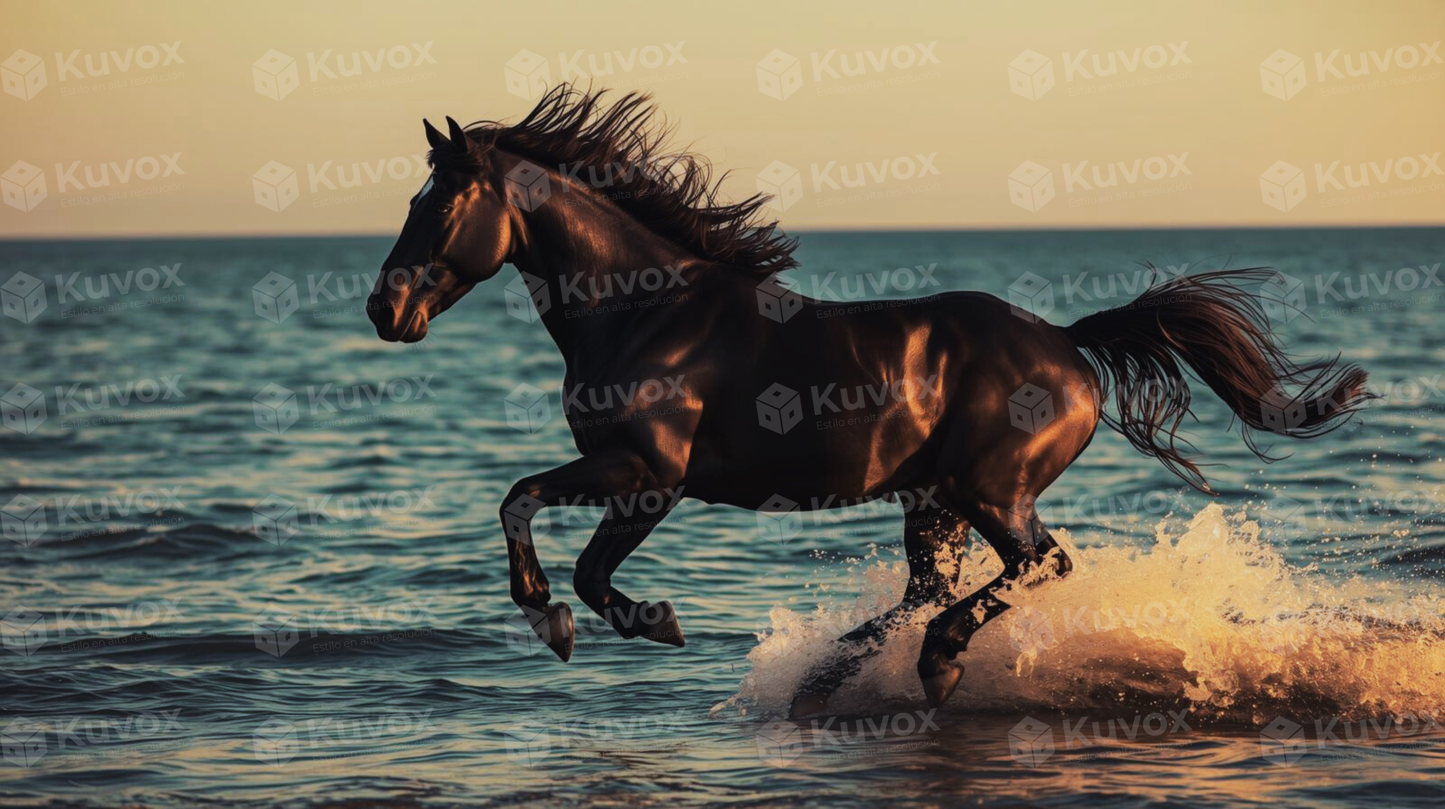 Caballo negro galopando junto al mar