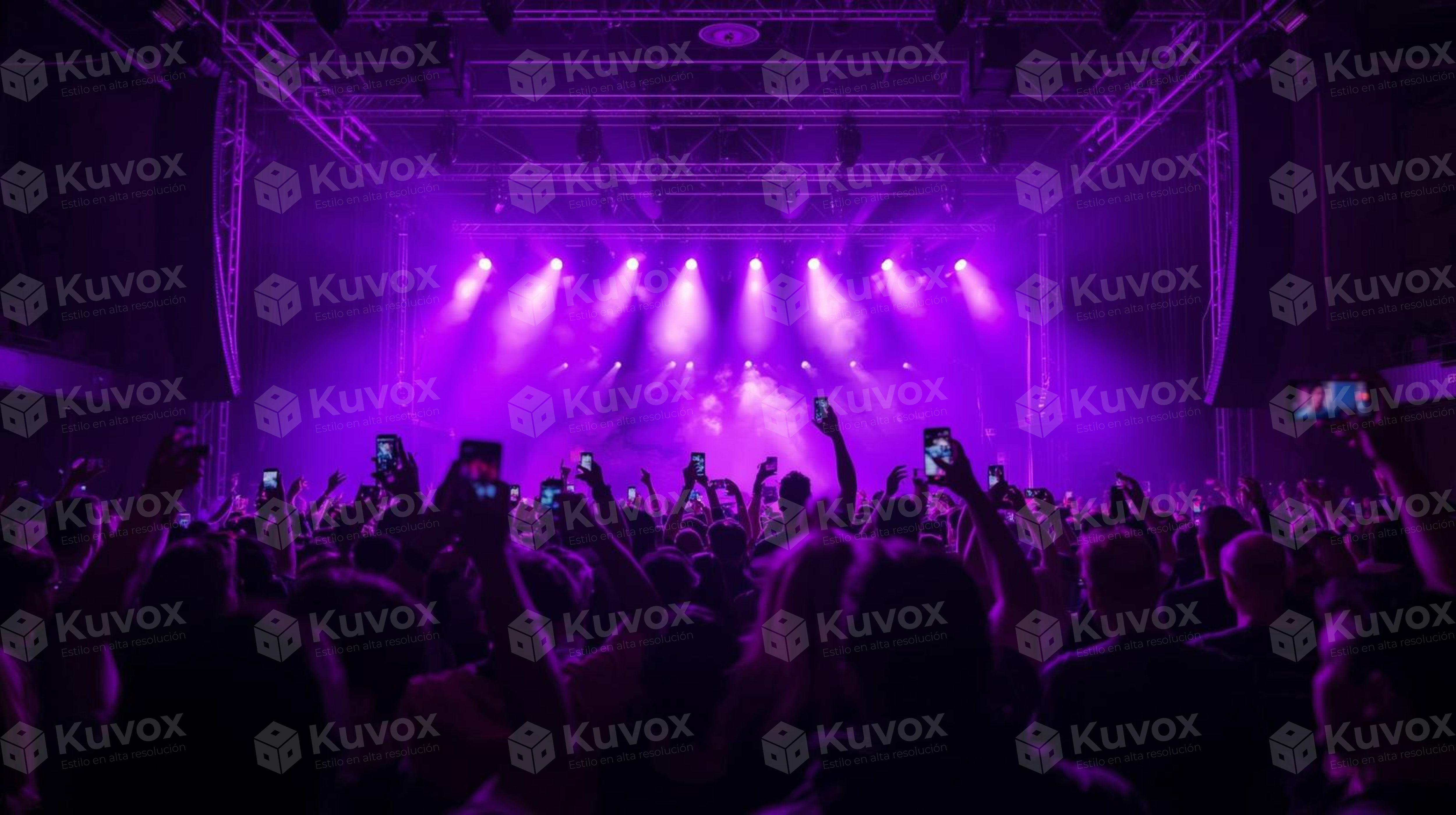 Multitud en concierto nocturno